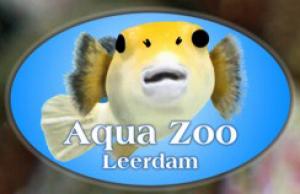 Logo 2010