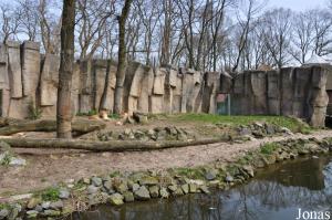 Un des deux enclos des lions