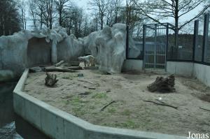 Un des deux enclos d'isolement des ours blancs