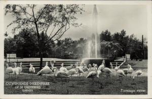 Carte postale