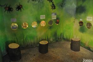 Insectarium