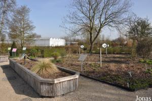 Jardin thématique