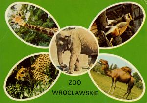 Carte postale