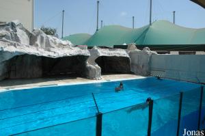 One of the pools for seals and sea lions