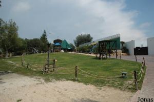 Birds of prey show area