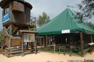 Birds of prey show area