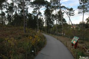 Pathway
