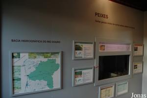 Exhibition about invasive species