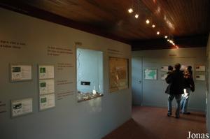 Exhibition about invasive species