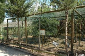 Aviary for southern screamers and blue eared-pheasants