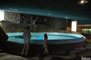 Pool for the fur seals in Aquario Vasco da Gama