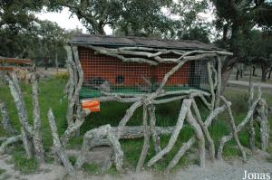 Genets exhibit