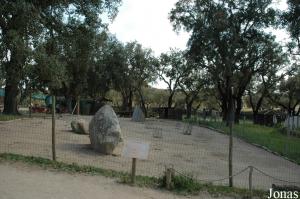 Patagonian maras enclosure