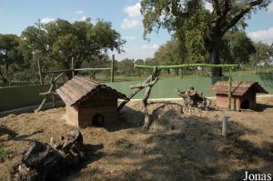 Porcupines enclosure