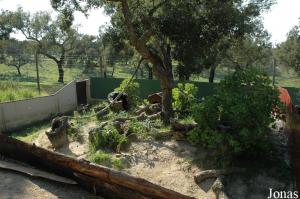 Racoons enclosure