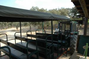 Truck used for the safari tour