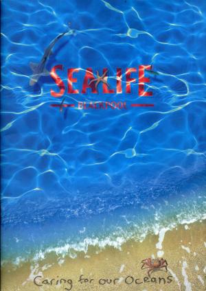 Guide 2005