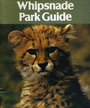 Guide 1982