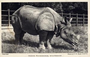 Carte postale