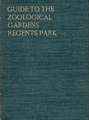 Guide 1913 - 11th Edition