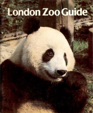 Guide 1982