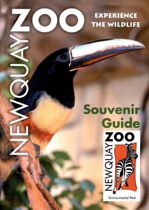 Guide 2005