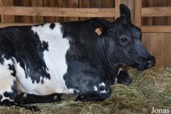 Parc Animalier de Rochehaut