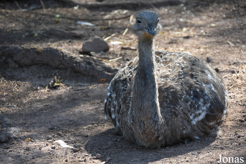 Neunkircher Zoo