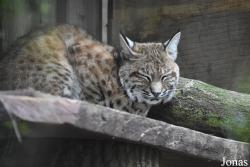 Allwetterzoo Münster