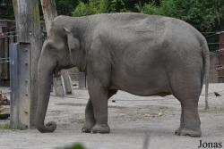 Allwetterzoo Münster