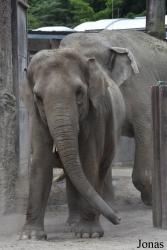 Allwetterzoo Münster