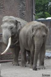 Allwetterzoo Münster