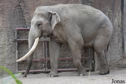 Allwetterzoo Münster