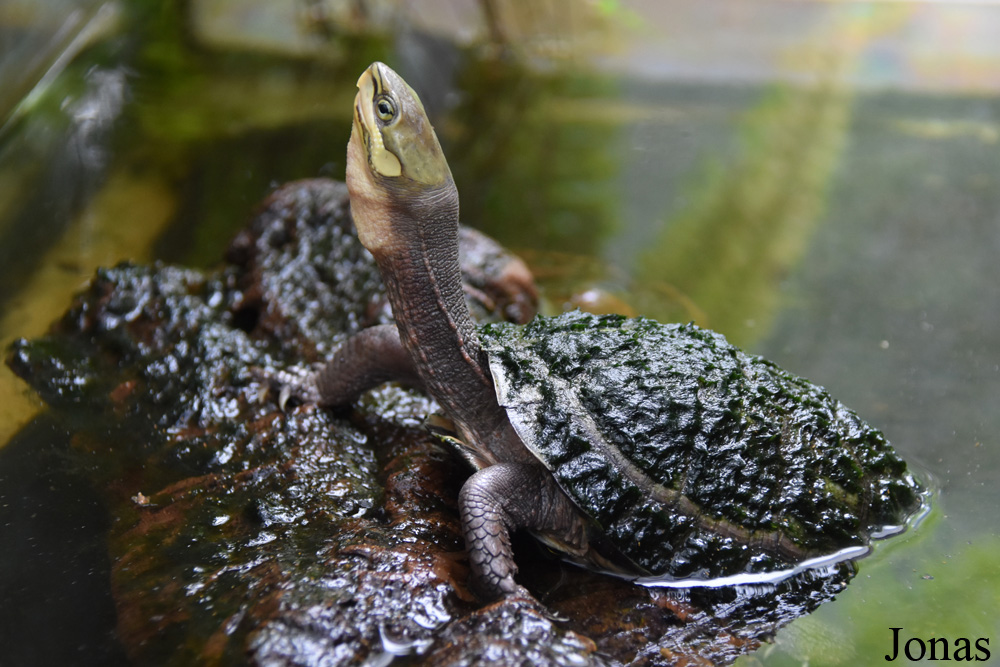 Allwetterzoo Münster