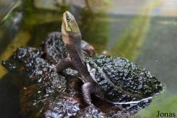 Allwetterzoo Münster