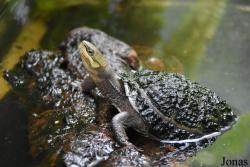 Allwetterzoo Münster