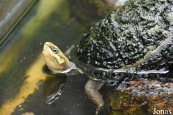 Allwetterzoo Münster
