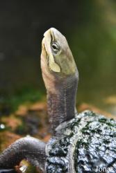 Allwetterzoo Münster