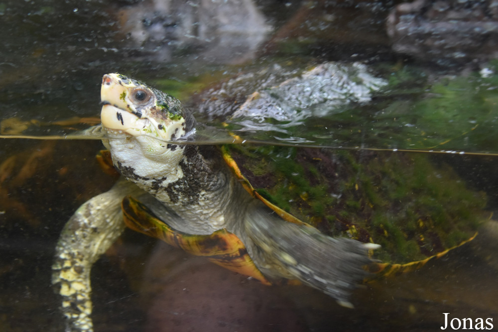 Allwetterzoo Münster