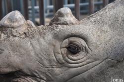 Los Angeles Zoo