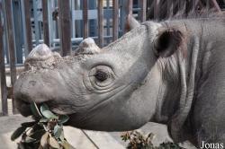 Los Angeles Zoo