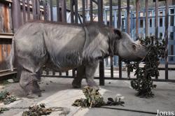 Los Angeles Zoo