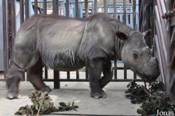 Los Angeles Zoo
