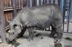 Los Angeles Zoo