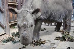 Los Angeles Zoo