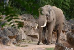 Zoo d'Amnéville