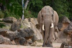 Zoo d'Amnéville
