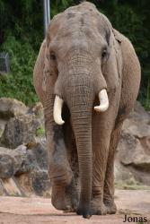 Zoo d'Amnéville