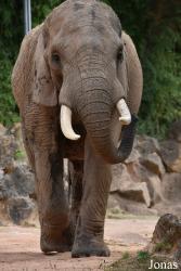 Zoo d'Amnéville