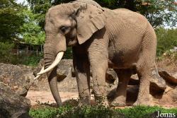 Zoo d'Amnéville